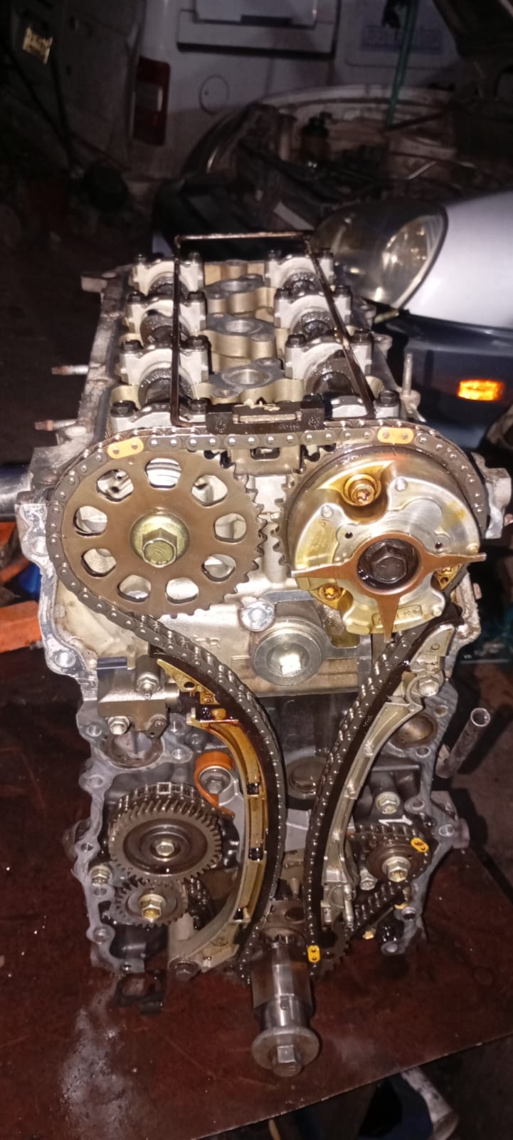 Cadena de Distribucion